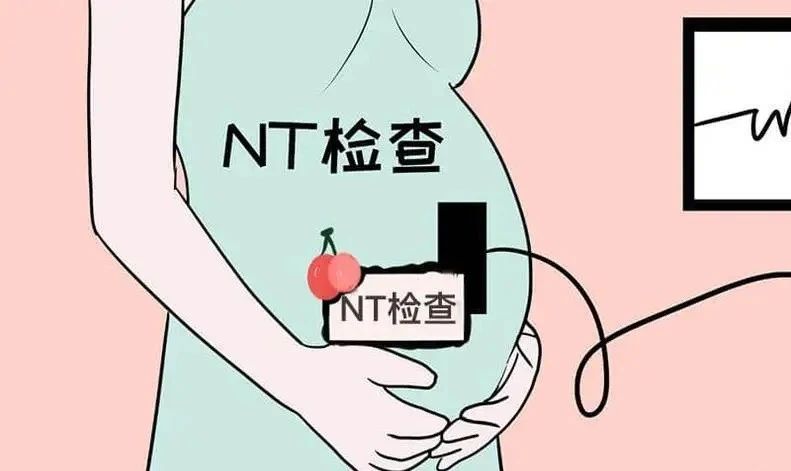 ̥һPNTz顱ʋǧfe`